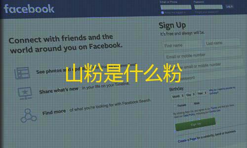 KS业务下单平台超低价山粉是什么粉